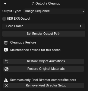 Reel Director output and cleanup panel